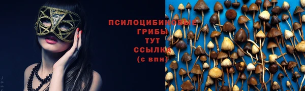 бутират Лиски