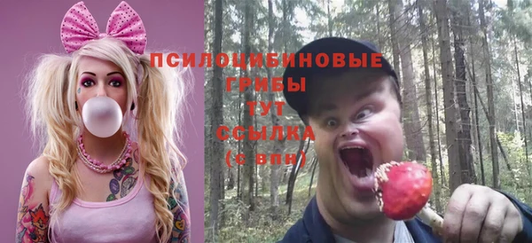спайс Лагань