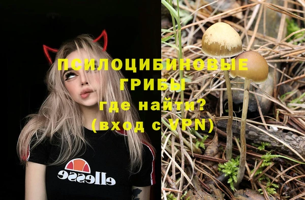 бутират Лиски