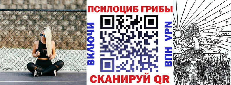 блэк спрут ссылки  Невельск  Галлюциногенные грибы Psilocybine cubensis  купить  сайты 